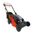 CORTAC&Eacute;SPED 166 CC  48 CM